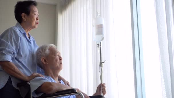 Wife Assisting Wheel Chair Husband Older Asian Elder Senior Couple — Stock Video