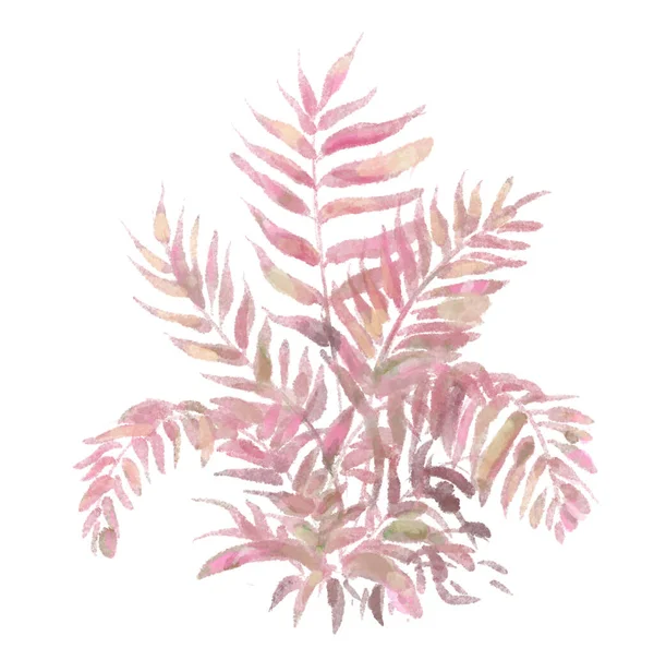 秋天粉红棕榈叶水彩画手绘画风 — 图库照片