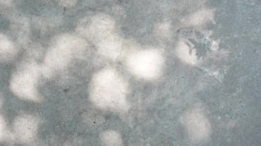 Güneş ışığında ağaç yaprakları Beton duvara yansıyan güzel gölgeler