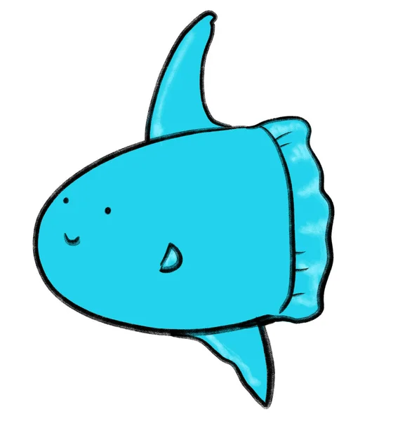 太阳鱼 软体动物海洋下面的海洋动物漫画手绘涂鸦插图艺术 — 图库照片