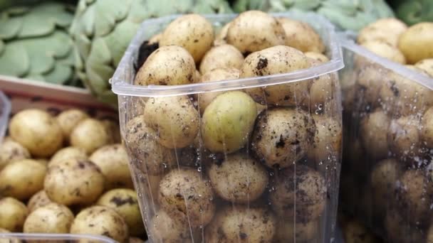 Pequeñas Patatas Alcachofas Frescas Venden Mercado Agricultores Europa — Vídeos de Stock