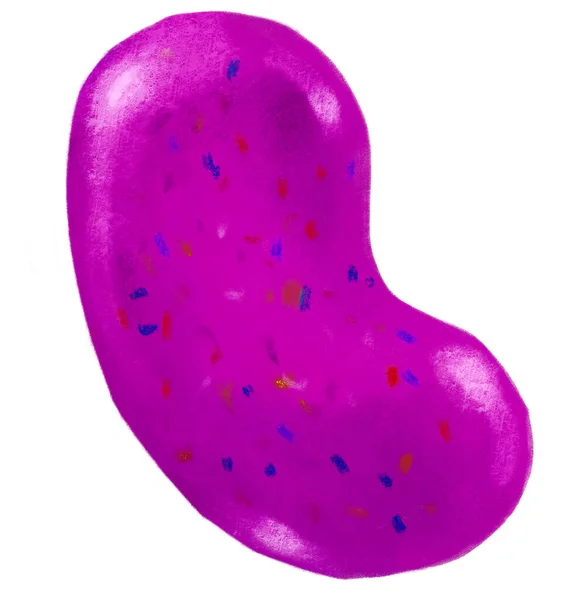 Jelly Bean Gummy Sugar Sweet Candy Colorful Flavor Illustartion Art — Zdjęcie stockowe