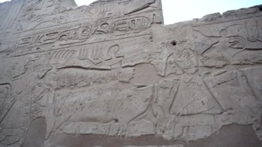 Luxor 'daki Karnak tapınağı hiyeroglifi, inekleri ve insanları duvara kazınmış bir festivale katılırken gösteriyor.