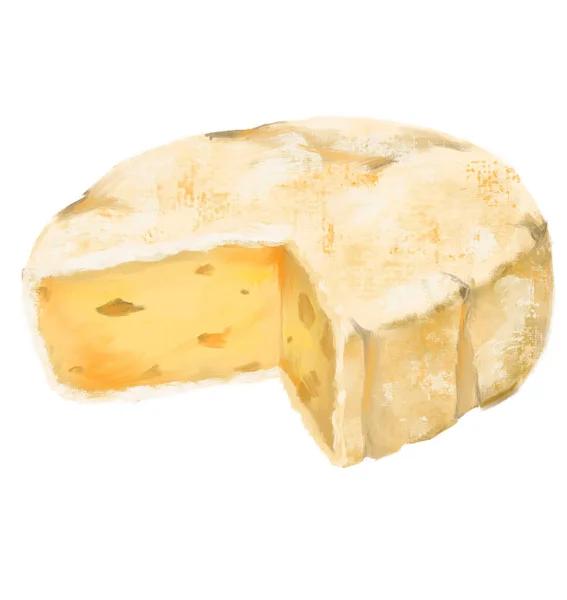 Roda Queijo Brie Molde Branco Amanteigado Sabor Leitoso Digital Pintura — Fotografia de Stock