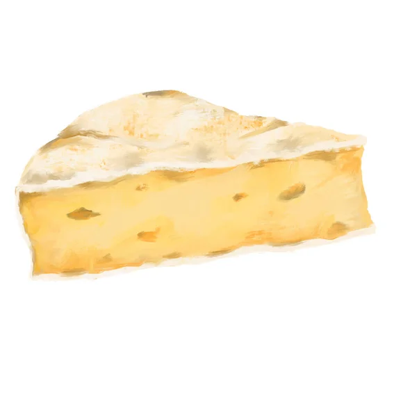 Brie Formaggio Ruota Bianco Muffa Burroso Latteo Gusto Digitale Pittura — Foto Stock