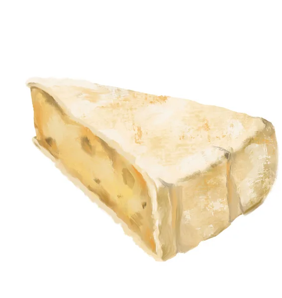 Brie Fromage Roue Moule Blanc Beurre Laiteux Goût Peinture Huile — Photo