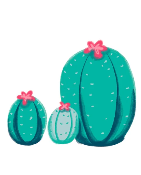 Kaktus Mexiko Wüstenpflanze Sommer Grün Rosa Doodle Freihand Illustrationskunst — Stockfoto