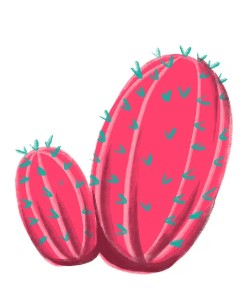 Cactus Mexique Plante Désert Été Vert Rose Doodle Illustration Main — Photo