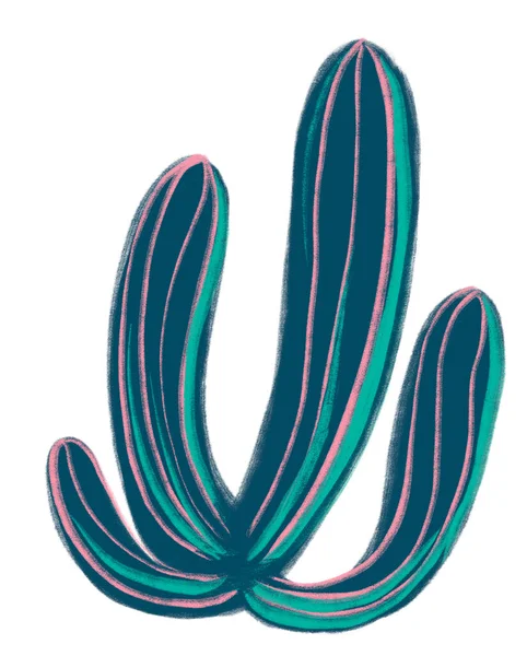Кактус Мексика Пустельна Рослина Влітку Зелений Голуб Ятник Вільної Руки — стокове фото