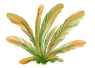 Tropik kırmızı yeşil bitki sonbahar suluboya el çizimi resim sanatı