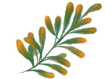 Tropik kırmızı yeşil bitki sonbahar suluboya el çizimi resim sanatı