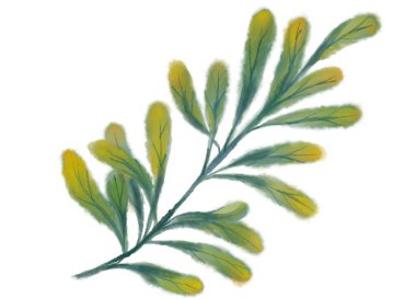 Tropik kırmızı yeşil bitki sonbahar suluboya el çizimi resim sanatı