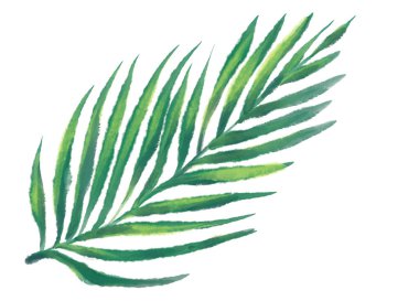 Tropik kırmızı yeşil bitki sonbahar suluboya el çizimi resim sanatı