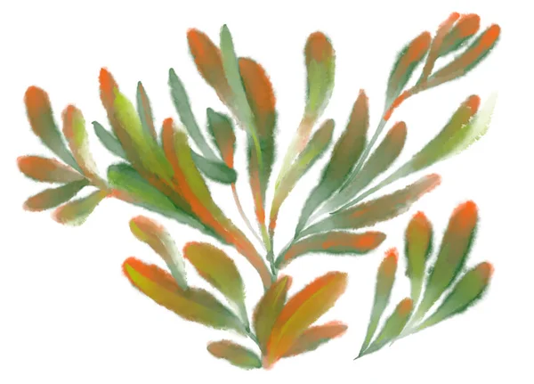 Tropikalny Czerwony Zielony Rośliny Elementy Jesień Akwarela Ręka Malarstwo Ilustracja — Zdjęcie stockowe