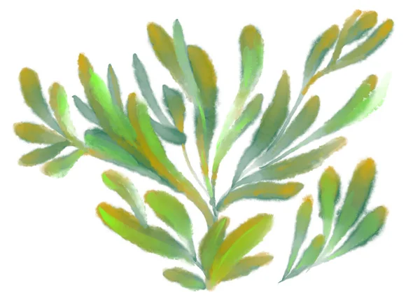 熱帯赤緑の植物の要素秋の水彩手描きイラストアート — ストック写真
