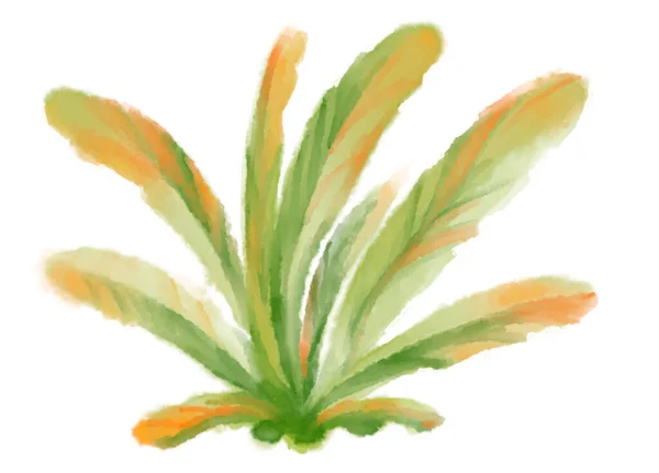 熱帯赤緑の植物の要素秋の水彩手描きイラストアート — ストック写真