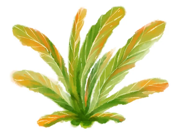 热带红绿植物元素秋天水彩画手绘艺术 — 图库照片