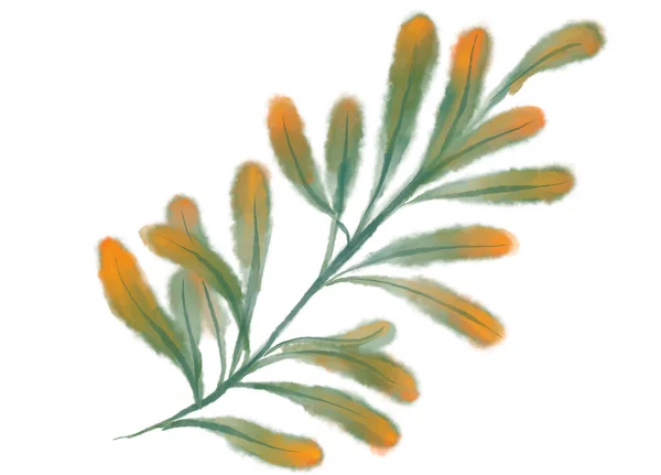 Tropisch Rood Groen Plant Elementen Herfst Aquarel Hand Schilderen Illustratie — Stockfoto