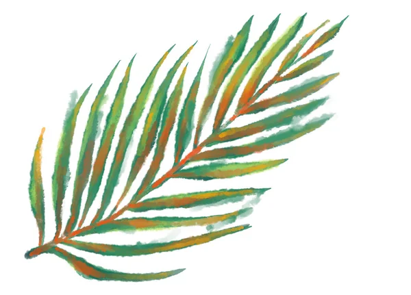 Tropické Červené Zelené Rostlinné Prvky Podzim Akvarel Ruční Malba Ilustrace — Stock fotografie