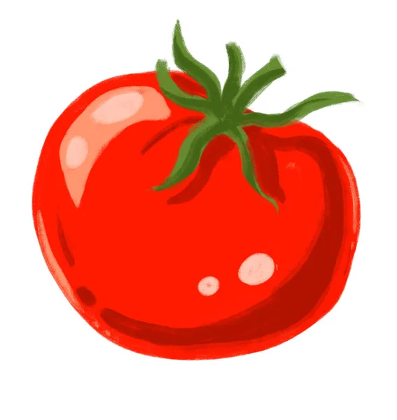 Red Juicy Fresh Tomatoes Hand Painting Illustration — Stock Photo, Image