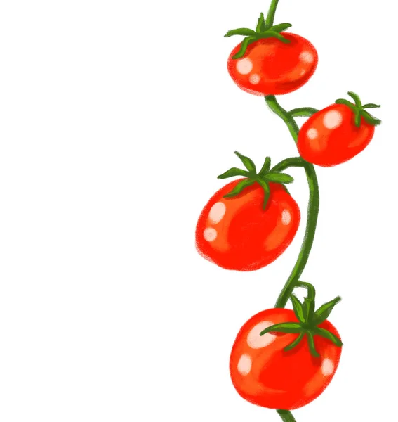 Red Juicy Fresh Tomatoes Vine Hand Painting Illustration Art — Stock Photo, Image