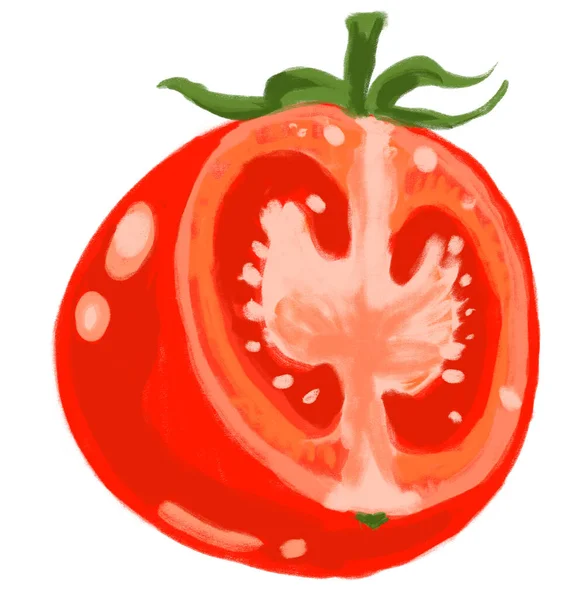Red Juicy Fresh Tomato Cut Slice Hand Painting Illustration Art — Stock Photo, Image