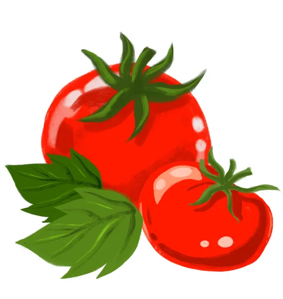 Rosso Succosa Fresco Pomodori Mano Pittura Illustrazione — Foto Stock