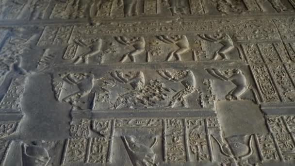 Aswan Tapınağı Duvarı Tavan Hiyerogrifik Sanat Kanatları Akbaba Unesco Sitesi — Stok video