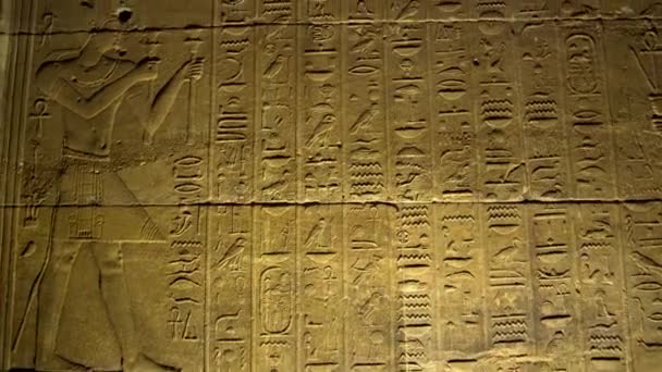 Suuri Seinä Hieroglyfejä Veistetty Philae Temppeli Assuan Egypti Afrikka Unesco — kuvapankkivideo
