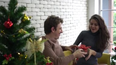 Kafkasyalı çift Noel ağacı önünde Noel ağacı sohbeti yapıyor.