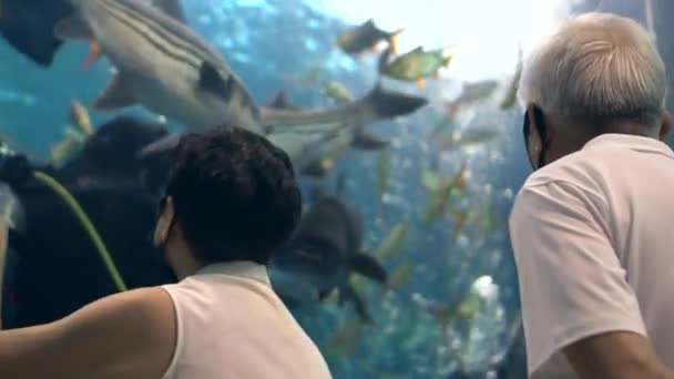 Asiatique Couple Aîné Avoir Plaisir Sortir Ensemble Dans Aquarium Bonne — Video