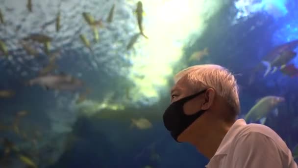 Asiático Senior Hombre Desgaste Máscara Visitando Acuario Túnel Retiro Relax — Vídeos de Stock