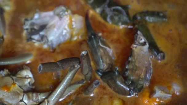 Chef Cocinar Singapur Cangrejo Chile Salsa Curry Sartén Hirviendo Cangrejos — Vídeo de stock
