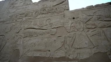 Karnak Tapınağı Luxor Mısır hiyeroglif yardım ineği tarımsal yaşam tarzını akut zamanda gösteriyor