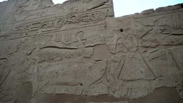 카르나크 룩소르 Karnak Temple Luxor 이집트의 문자얕은 구조를 사람들 시대에 — 비디오