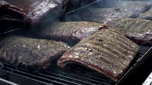 Grilling Barbecue Pork Ribs Marinated Herb Juciy Sauce Flame Charcoal — Stockvideo