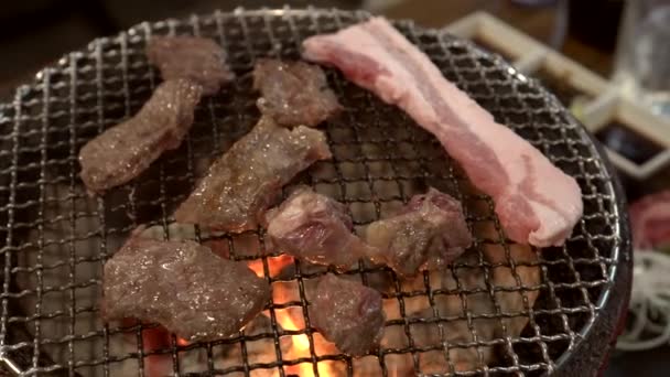 Ψήσιμο Βοείου Κρέατος Και Χοιρινού Κρέατος Ιαπωνικά Yakiniku Στυλ Άνθρακα — Αρχείο Βίντεο
