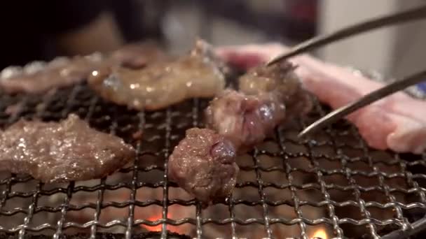 烤牛肉和猪肉日本黑龙江木炭风格的豪华聚餐 — 图库视频影像
