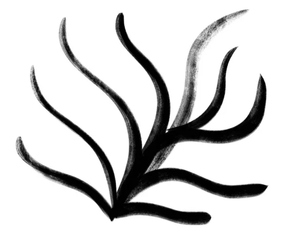 Black Ink Plant Line Doodle Freehand Sketch Drawing Shape Form — Stockfoto