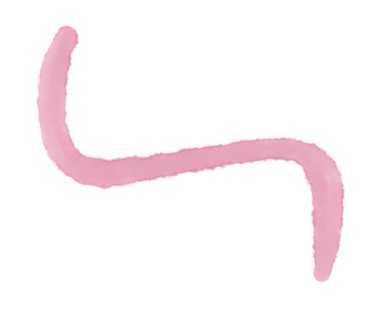 Şeffaf suluboya fırça şekli Pastel element çizim sanatı