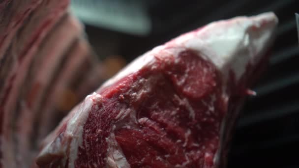 Dry Aged Lamb Rack Meat Rack Chilled Fridge — Vídeo de Stock