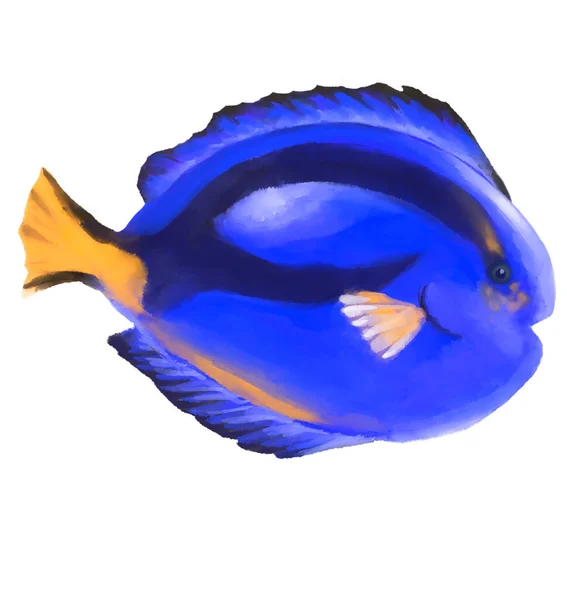 Blue Tang Tropical Colorful Fish Watercolor Painting Illustration Dory Fish — Stock fotografie