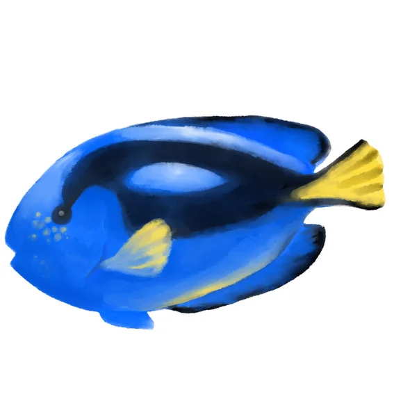 Blue Tang Tropical Colorful Fish Watercolor Painting Illustration Dory Fish — Stock Photo, Image