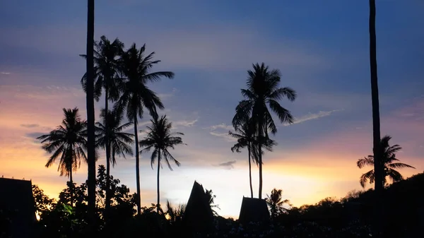 Sunset Sky Tropical Island Phuket Thialand Coconut Trees Silhouette Pastel — Foto Stock