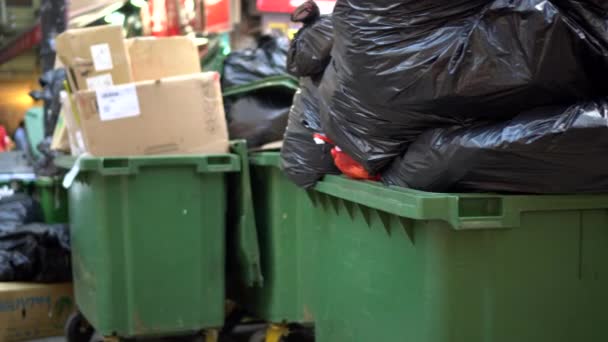 Hong Kong Sar Oct 2019 Trash Diposal Area Green Bin — Stok video