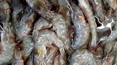  Fresh chilled seafood big prawn shrimp selling in supermarket top view