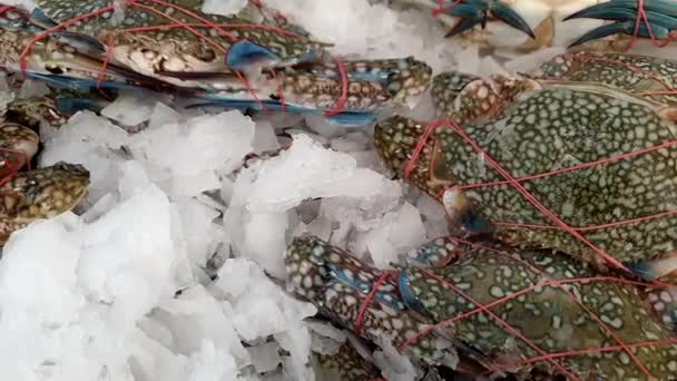 Chilled Ice Blue Crab Frozen Selling Hypermarket Seafood Shopping — Stok video