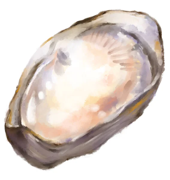 Fresh Raw Oyster Watercolor Painting Seafood Shellfish Artistic Illustration — Photo