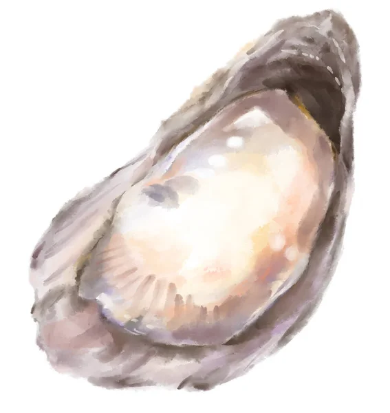 Fresh Raw Oyster Watercolor Painting Seafood Shellfish Artistic Illustration — Foto de Stock