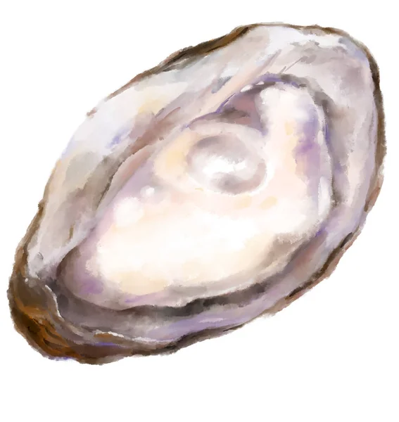 Fresh Raw Oyster Watercolor Painting Seafood Shellfish Artistic Illustration — Stock Photo, Image